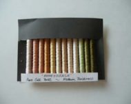 HONEYSUCKLE (MEDIUM)