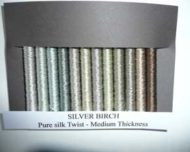 SILVER BIRCH (MEDIUM)